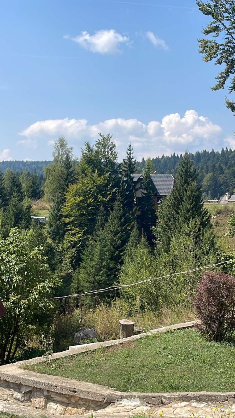 Planinska Kuca Dusan Mitrovac Dış mekan fotoğraf